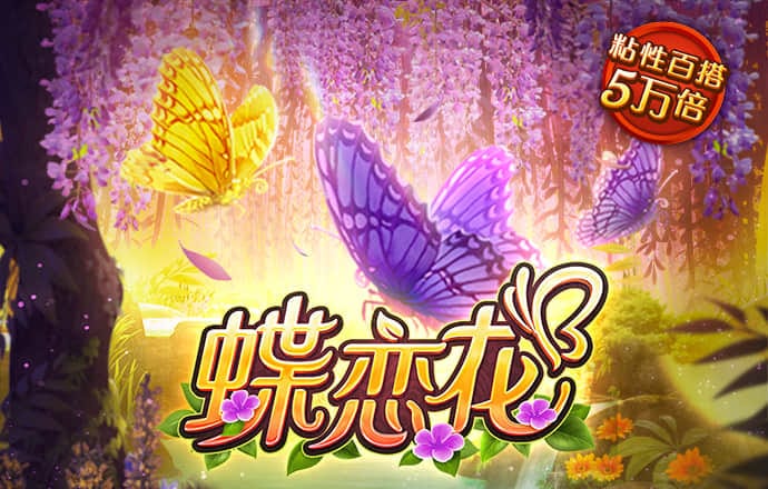 HC658:CC-WWW:HC658:CC